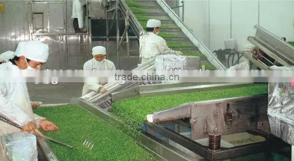 High Quality Iqf Frozen Vegetable Production Line photo-3