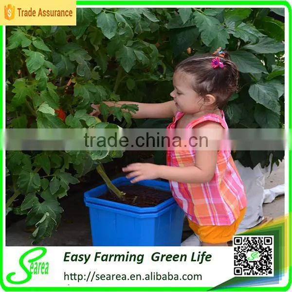 New Technology Hydroponics Equipment photo-2