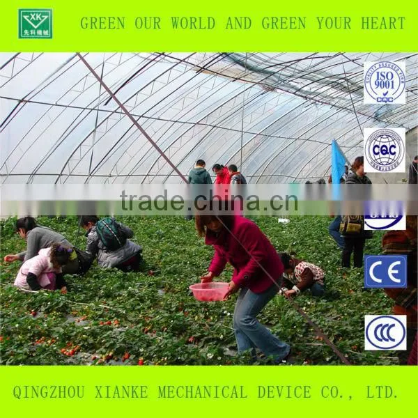 High Tunnel Greenhouse photo-3