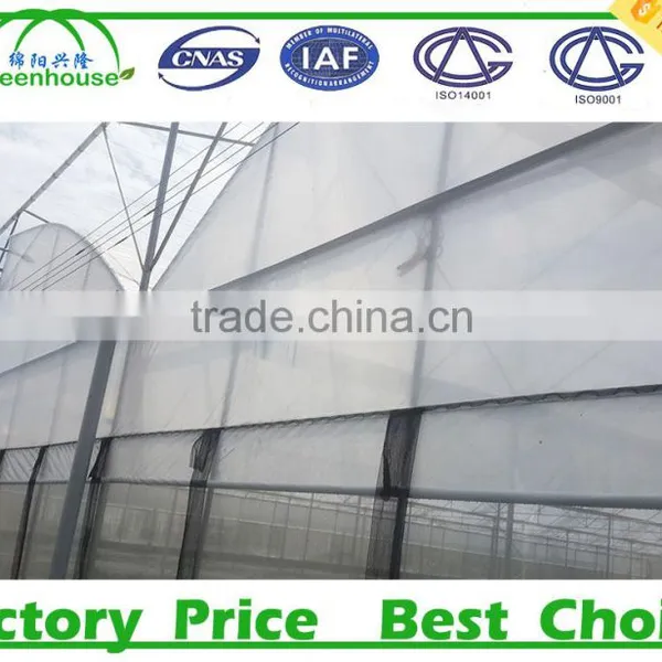 Low Cost Multi Span Used Commercial Greenhouses For Sale photo-6