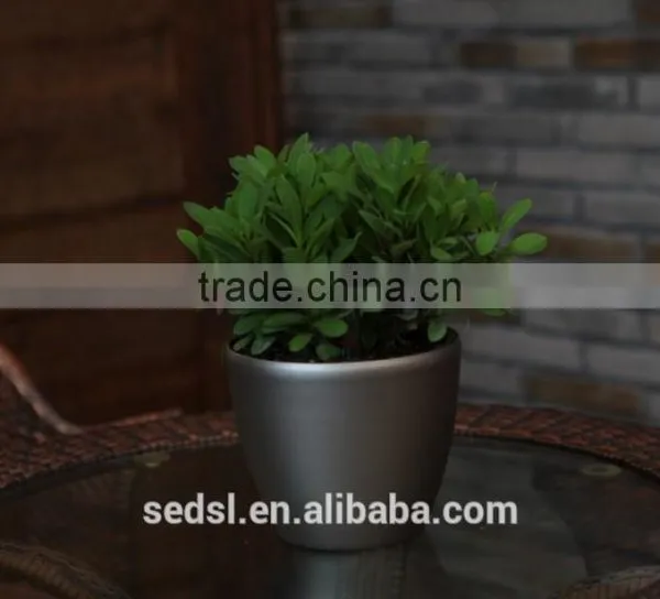 Small Decorative Flower Pots,decoration Pot,desktop Flower Pot photo-5