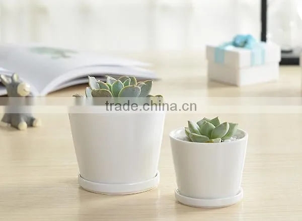 Indoor Mini Ceramic Decor White Plant Pot photo-4
