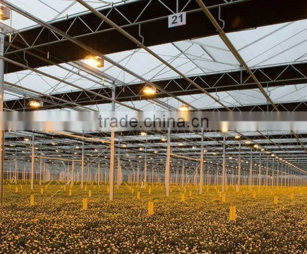 Good Quality Multi Span Polycarbonate Flower Greenhouse With Shading System and Growing Lighting System photo-2