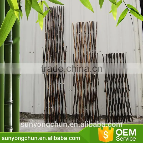 Hot Rural Style Bamboo Raw Materials Green Garden Chinese Bamboo Canes photo-6