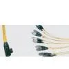 Fiber Optical Fittings