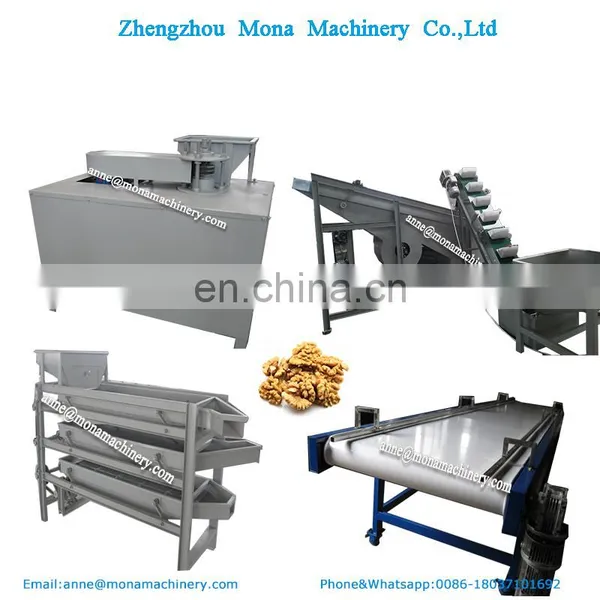 Walnut Cracking Processing Line | Walnut Nuts Shelling Machine In United States photo-5