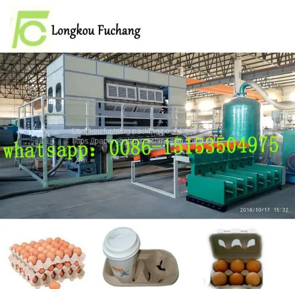 Eggs Cartons Making Machine Eggs Trays Machine Packaging for Quail Eggs Whatsapp:0086-15153504975 photo-2
