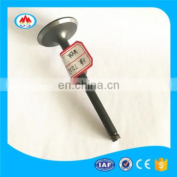 Auto Spare Parts Oem MD162422 MD162423 Engine Valve for Mitsubishi 4G93 photo-6