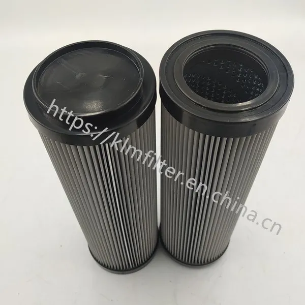 Power Plant Duplex Filter Element DYSL-65/25W photo-2