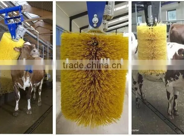 Electric Cattle Brush photo-2