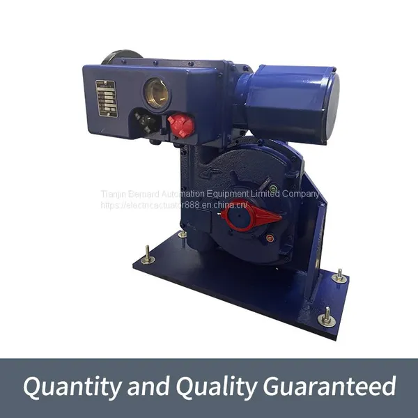 Bernard Angle Stroke B+RS250/K40H Integrated Fine Small Electric Actuator photo-5