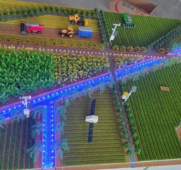 Agricultural Sand Table Model Making Factory photo-5