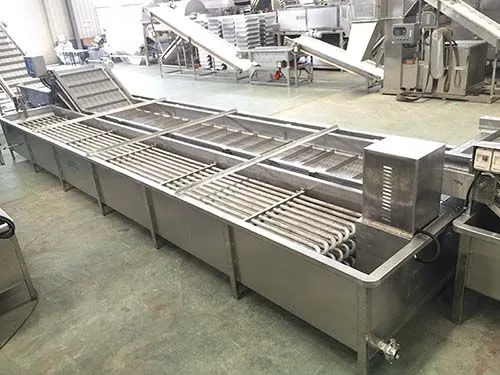 Automatic Fresh Vegetable Slicer Machine Vegetable Chips Processing Line photo-3