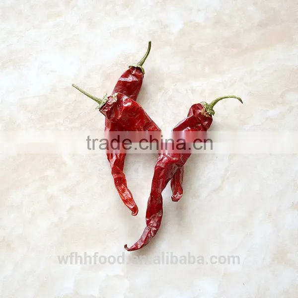 Dry Red Chilli photo-3