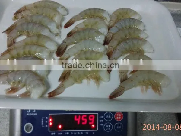 Vannamei Shrimp photo-4