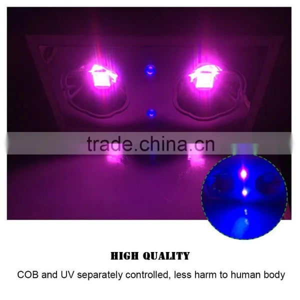 Best Selling Products Hydroponic Growing Systems COB LED Plants Grow Light photo-2