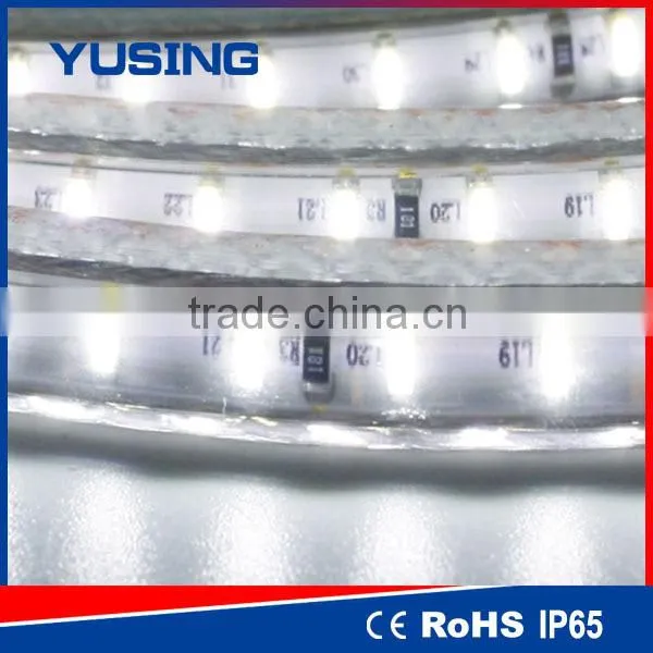 2 Years' Warranty High Brightness SMD 3014 LED Strip Light 60 LEDs photo-2