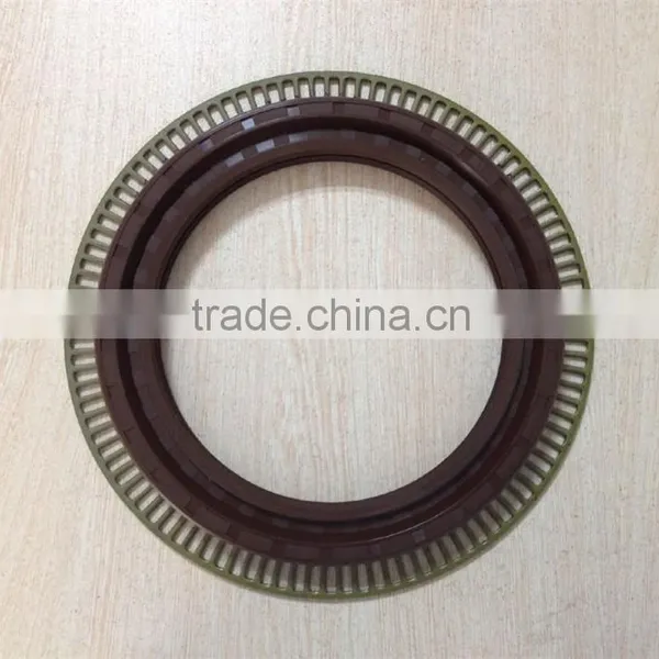 Iron Shell Viton Rubber Oil Seal 135-175-18 photo-2