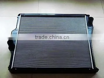 High Quality Cast Iron Radiator