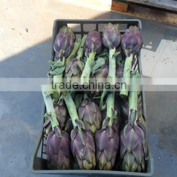 Artichokes photo-4
