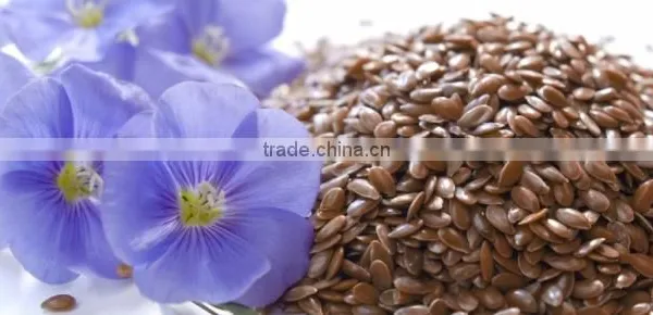 Linum Usitatissimum(flax Seed) photo-3