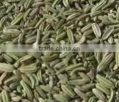 Fennel Seeds