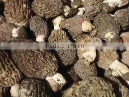 Morchella Esculenta Morel Morels Mushroom Dried Fresh Pure Natural Edible Mushrooms Yellow Morel, True Morel,Made in Turkey