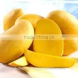 Best Price Totapuri Mango Pulp