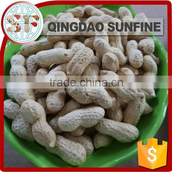 Bulk Organic Roasted Peanut in Shell for Sale photo-4