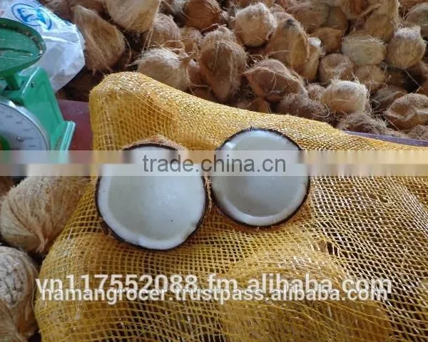 Semi Husked Coconut, Mature Coconut, Fresh Coconut photo-4