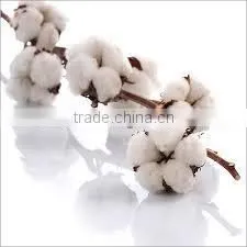 Bales of Raw Cotton on Sale photo-2