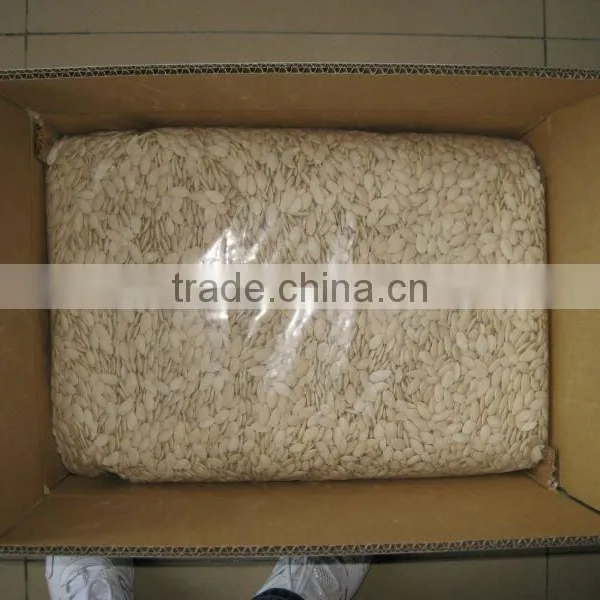 Roasted and Salted Pumpkin Seed (11cm,12cm,13cm) photo-2