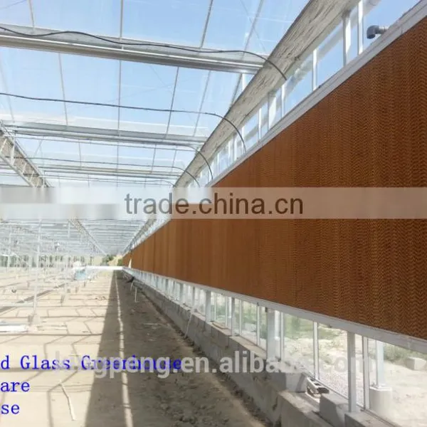 Commercial Rose Multi-span Glass Green House for Sale photo-3