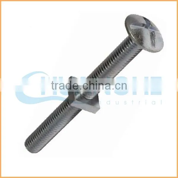 China Supplier Satinless Steel 304/316 Bolt and Nut photo-4
