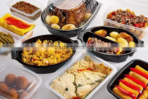 Disposable Blister Plastic Takeaway Takeout Hot Food Delivery Containers photo-5