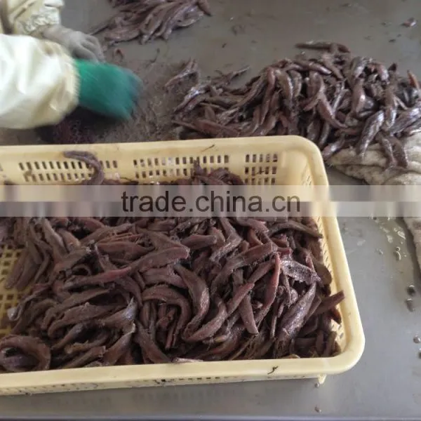Spain Processing Way Salted Anchovy Fillets photo-2