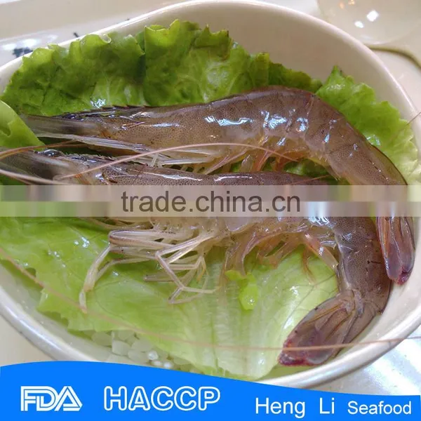 HL002 Shrimp on Sale FDA Certification photo-3