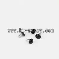 Small Screw,miniature Screw ,micro Screw for Toy (with ISO Card)/precision Micro Screws