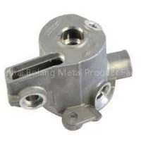 Aluminum Casting of Auto Housing/Shell