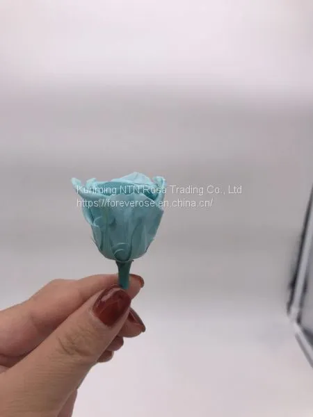 Factory Supply Best Selling Red Preserved Roses at Cheapest Price photo-4