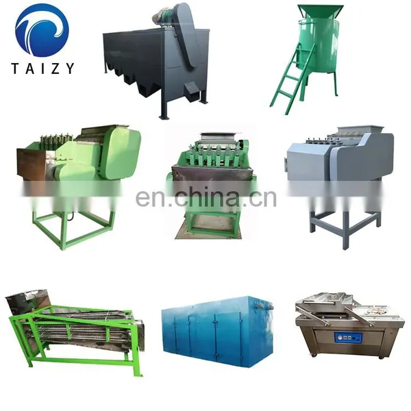 Cashew Nuts Machine Shelling Cashew Nut Production Line Cashew Nuts Processing Line photo-2
