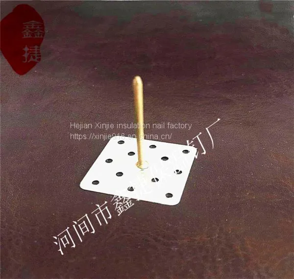 Copper Self-adhesive Insulation NailLock CapSelf Locking Stainless Steel Perforated Insulation Nail Air Conditioning Insulation Blanket Aluminum Insulation Nail