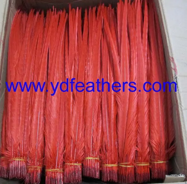 High Quality Ringneck Tail Feather photo-2