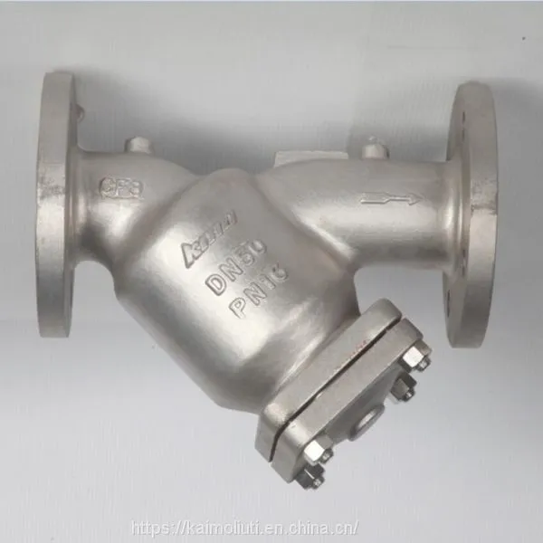 Stainless Steel Y Strainer Pipe Fittings photo-2