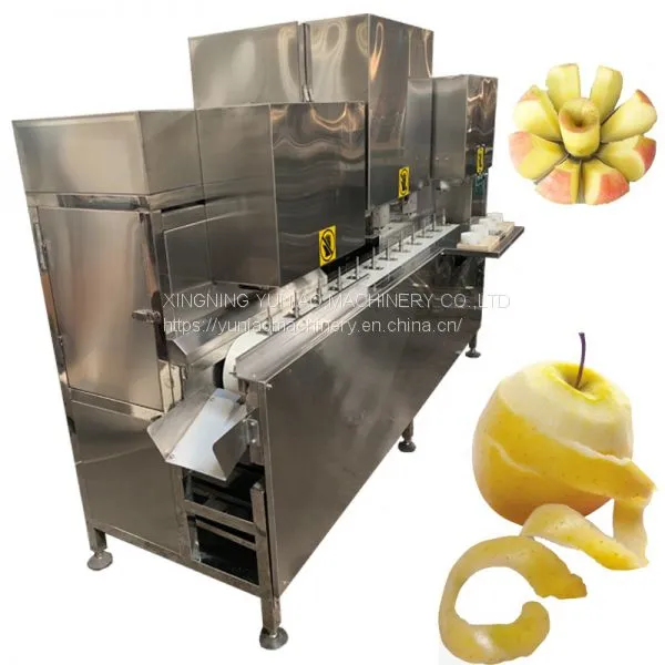 Automatic Stainless Steel Fruit Peeler Peach Apple Core Remover Peeling Machine 600-800KG/H WT/8613824555378 photo-2