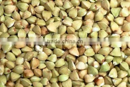 BUCKWHEAT KERNELS