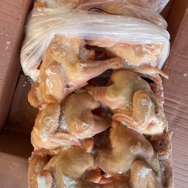 Fresh Frozen Bone Raw Chicken photo-5
