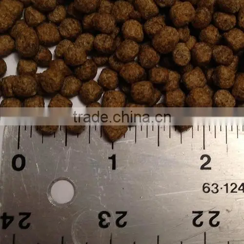 New Product Floating Fish Food Pellet Production Line photo-6
