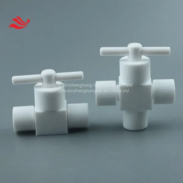 Customized PTFE Valve With Different Joint for Pipe Connection photo-5