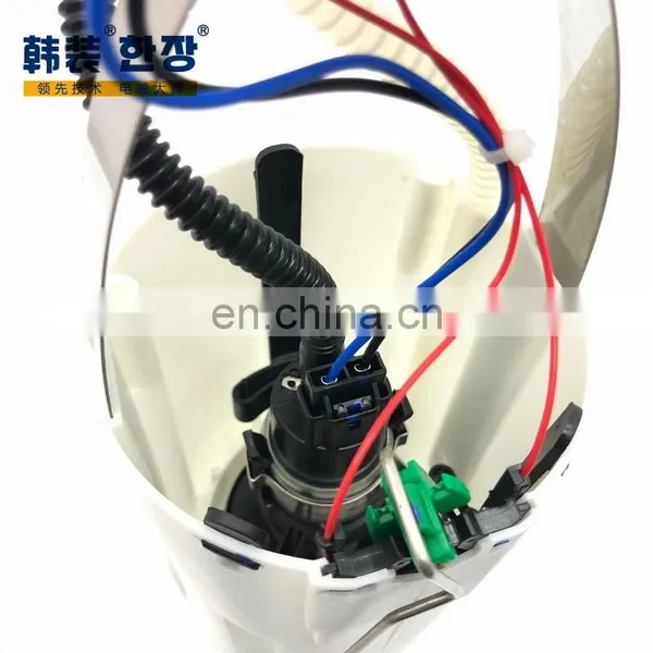 0580313004	Fuel Pump Assembly	For	VW Santana3000 photo-4